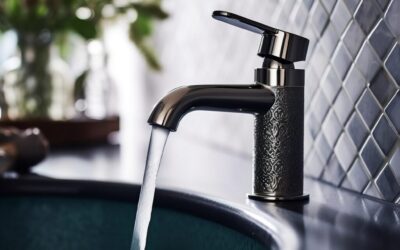 Sustainable Water Management In The Great Basin | Saving The…