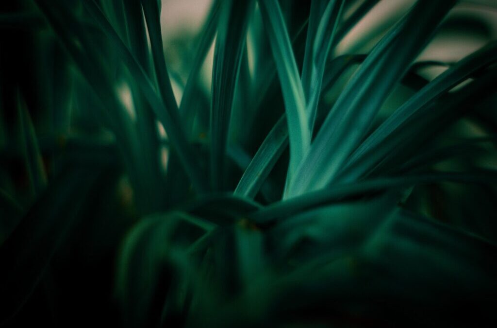 Sustainable Water Management In The Great Basin: A Journey Through…