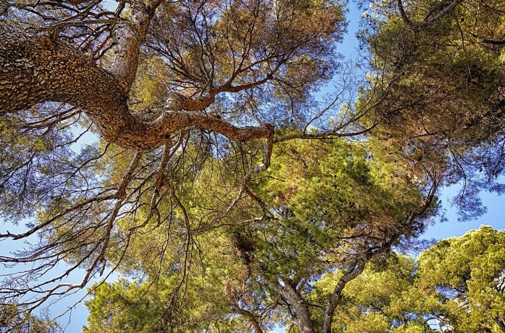 Sustainable Water Usage Practices | The Great Basin’s Thirsty Story:…