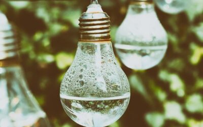 Sustainable Water Usage Practices » The Great Salt Lake: A…