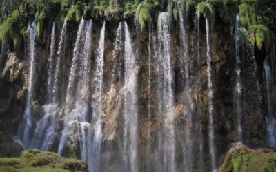 Techniques For Water Cycle Repair ~ Can We Fix A…