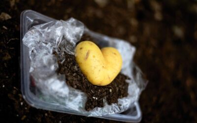 Technological Innovations: New Technologies And Methods For Water Management And…