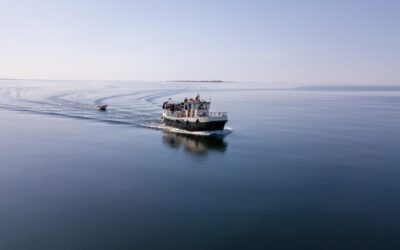 Water Conservation Measures: Strategies For Reducing Water Usage In Agriculture,…