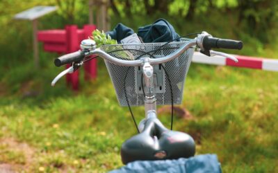 Water Cycle Improvement | The Great Basin: A Thirsty Land…