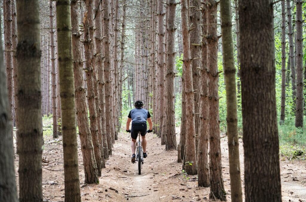 Water Cycle Improvement ~ 💧 The Great Basin’s Water Woes:…