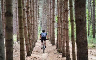 Water Cycle Improvement ~ 💧 The Great Basin’s Water Woes:…