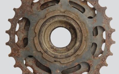 Water Cycle Management | The Great Basin: Where Water Is…