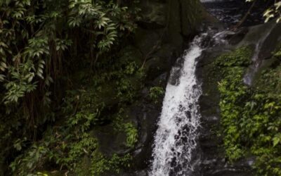 Water Cycles And Hydrology – The Amazing Journey Of Water:…