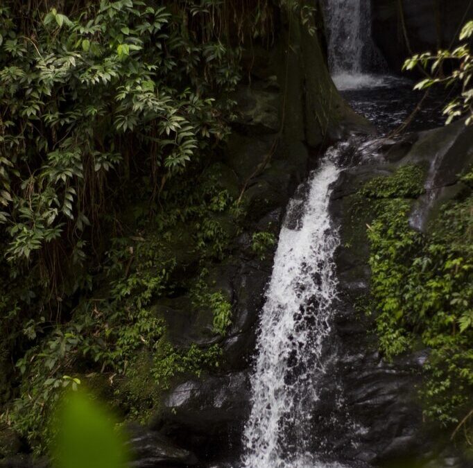 Water Cycles And Hydrology – The Amazing Journey Of Water:…