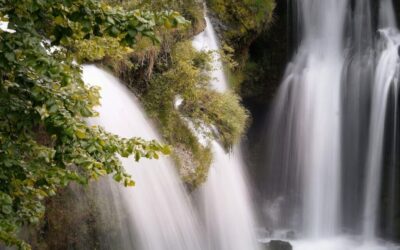 Water Shortage ~ The Great Basin: A Thirsty Land TL;DR:…