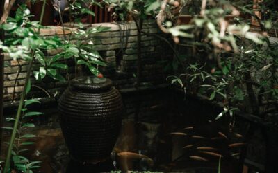 Water Conservation Techniques In The Great Basin: Unlocking The Secrets…