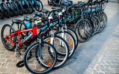 Water Cycle Management In Urban Areas | The Great Salt…