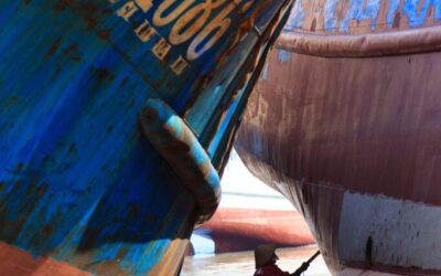 Water Cycle Repair Projects: Can We Fix The Water Cycle?…