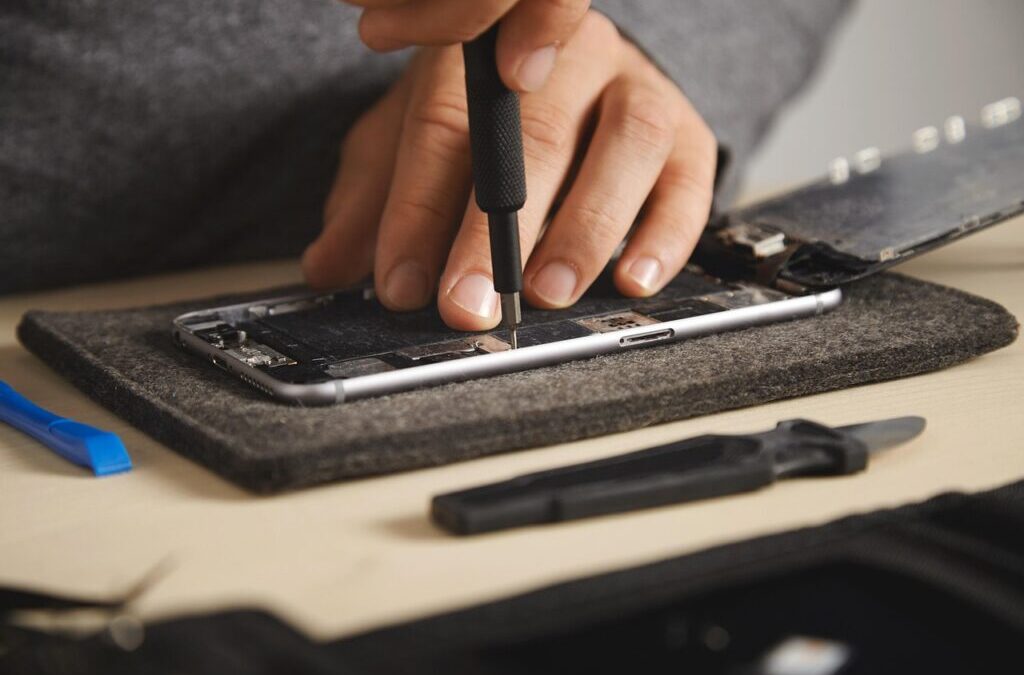 Water Cycle Repair Projects | The Secret Life Of Trees:…