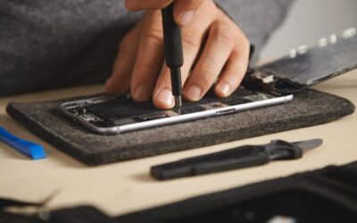 Water Cycle Repair Projects | The Secret Life Of Trees:…