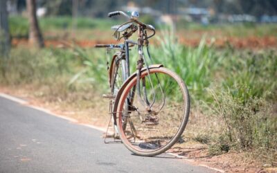 Water Cycle Restoration Projects / The Great Salt Lake: A…