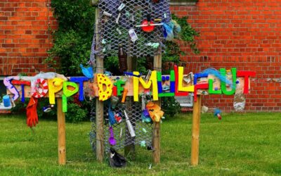 Water Cycle Restoration Projects – The Great Basin’s Thirsty Story:…