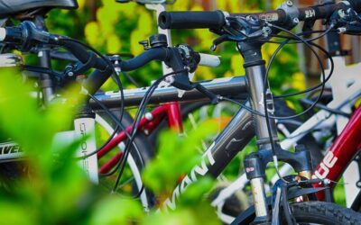 Water Cycle Restoration Projects » The Great Salt Lake: A…