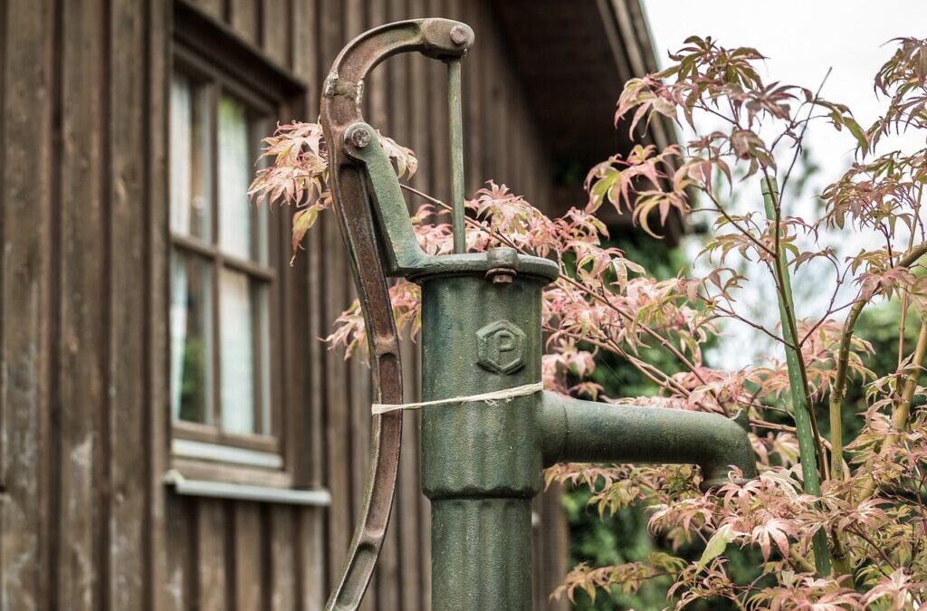 Water-efficient Irrigation Techniques / The Great Basin’s Thirsty Story: How…