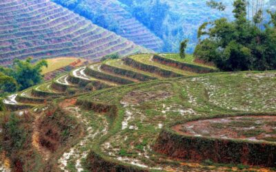 Water-efficient Irrigation Techniques – The Great Basin: A Thirsty Land…