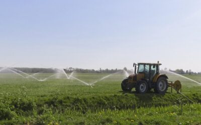 Water-efficient Irrigation Techniques | A Thirsty Land: The Great Basin’s…