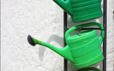 Water-efficient Irrigation Techniques | The Great Basin: A Thirsty Land…