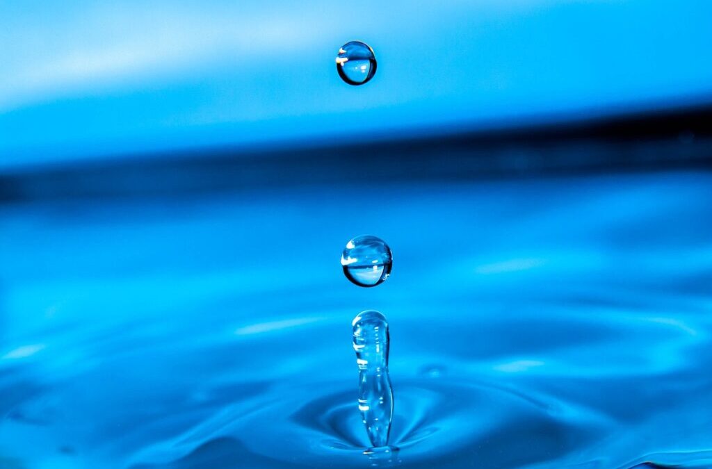 Water Reclamation » The Laguna Salada: A Salty Story Of…