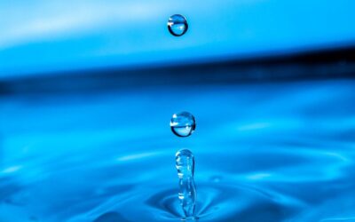 Water Reclamation » The Laguna Salada: A Salty Story Of…