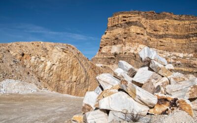 Water Resources Management / Water Woes: How Arizona’s Dwindling Resources…