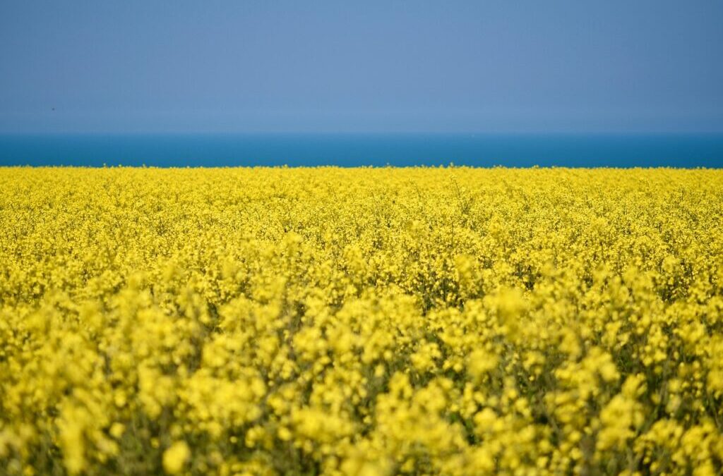 Water Scarcity Solutions For Agriculture – The Great Salt Lake:…