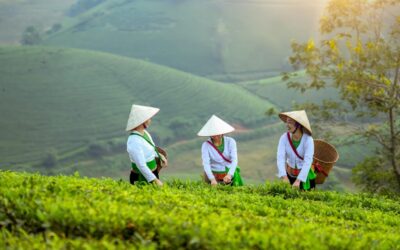 Water Scarcity Solutions For Agriculture – The Great Basin: A…