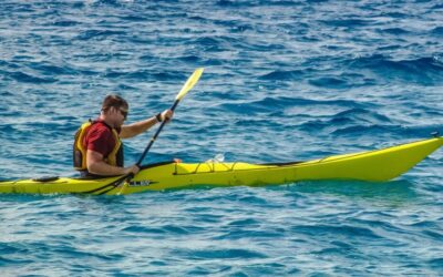 Watershed Restoration Efforts In Laguna Salada | Saving Our Seas:…