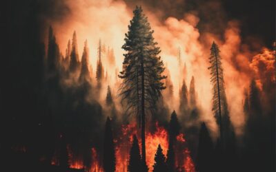 Climatechange, / Idaho’s Burning Problem: Climate Change And Wildfires TL;DR:…