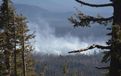 Examining The Impact Of Land-use Change On Evapotranspiration And Precipitation…