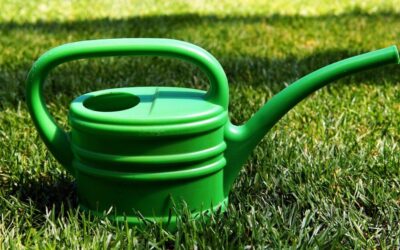 How Can Moving The Water Correct Years Of Drought? ~…