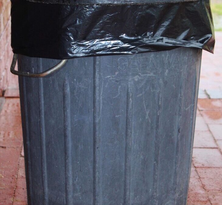 How Can Moving The Water Correct Years Of Drought? |…