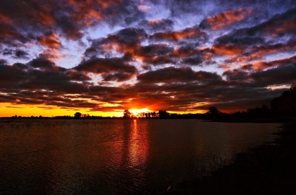 Laguna Salada Mexicali: The Laguna Salada: A Story Of Water,…