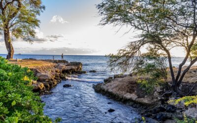 Laguna Salada Mexicali: The Laguna Salada: A Story Of Water,…