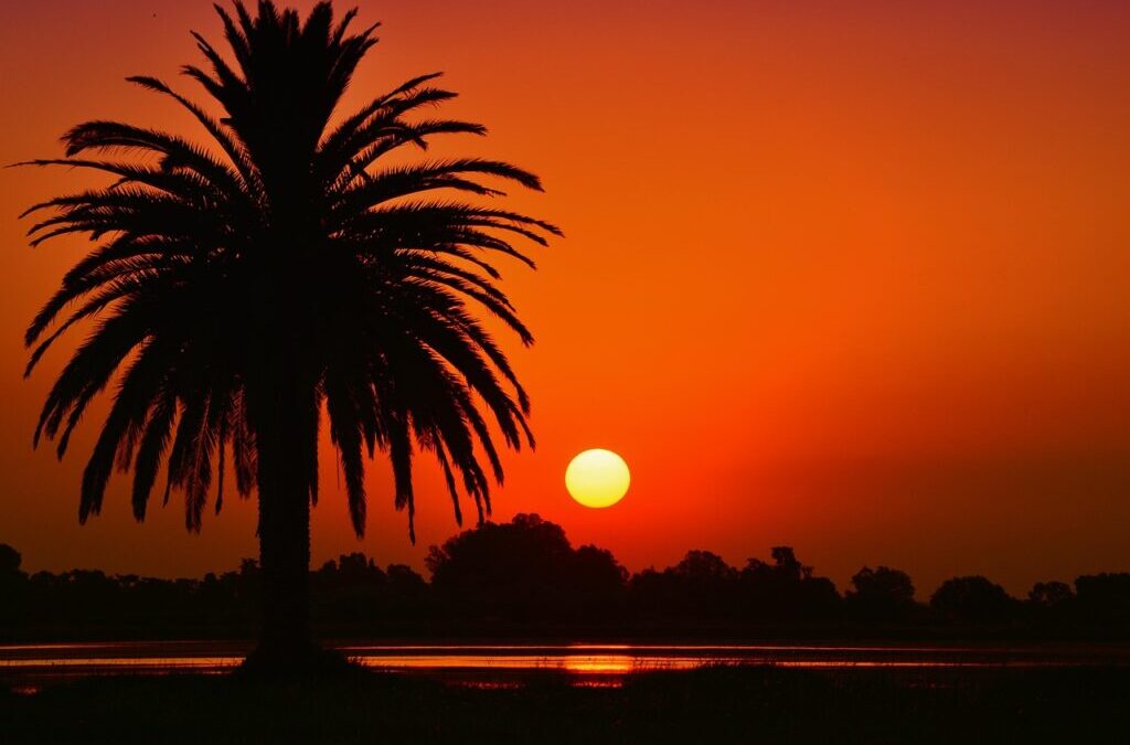 Laguna Salada | The Amazing Journey Of Water In The…