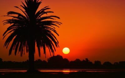 Laguna Salada | The Amazing Journey Of Water In The…