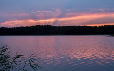 Water Conservation And Restoration Practices | Montana’s Water: A Precious…