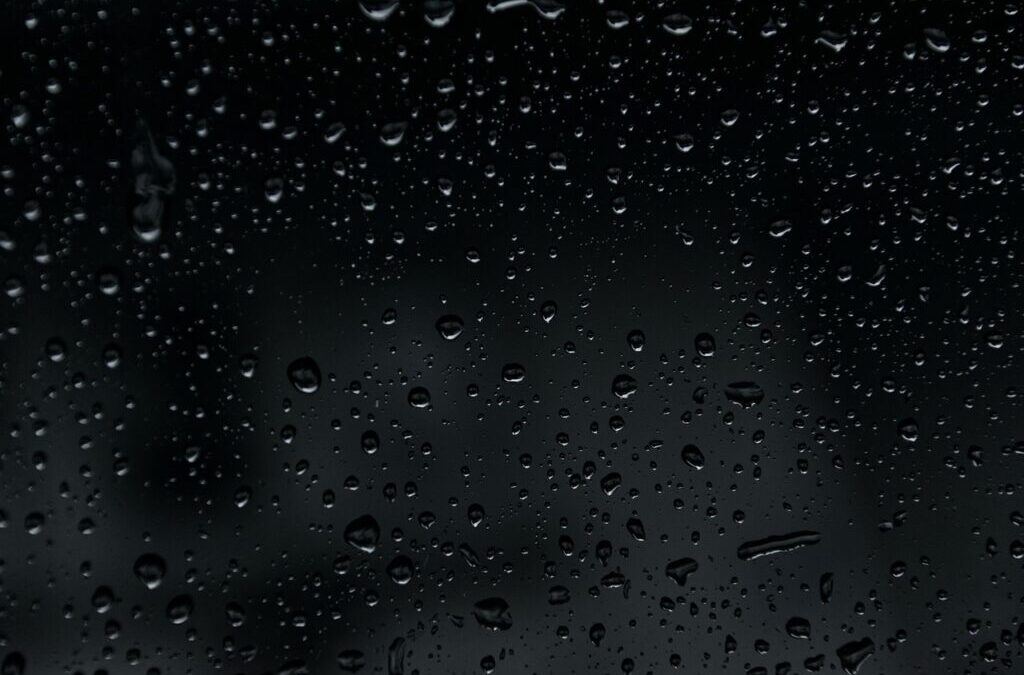 Climate Resilience ~ The Laguna Salada: A Desert Oasis Facing…