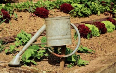 Drip Irrigation Solutions For Gardens – 💦 The Great Basin:…