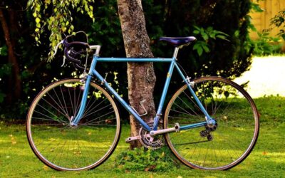 Earth’s Water Cycle Problems – 💦 Earth’s Water Cycle: A…