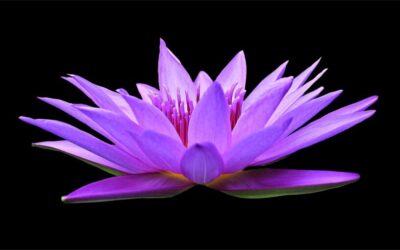 Enhancing The Natural Water Cycle ~ The Great Basin: A…