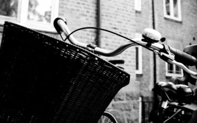 Enhancing The Natural Water Cycle – The Great Basin: A…