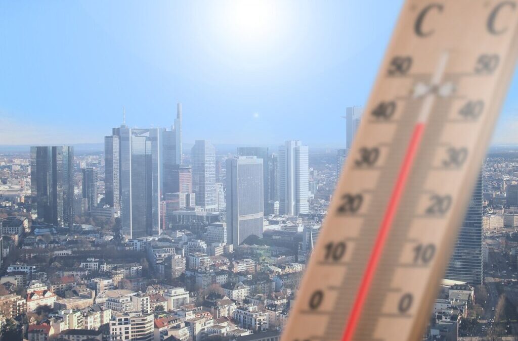 Funding Opportunities For Active Climate Rescue Initiative – Saving Our…