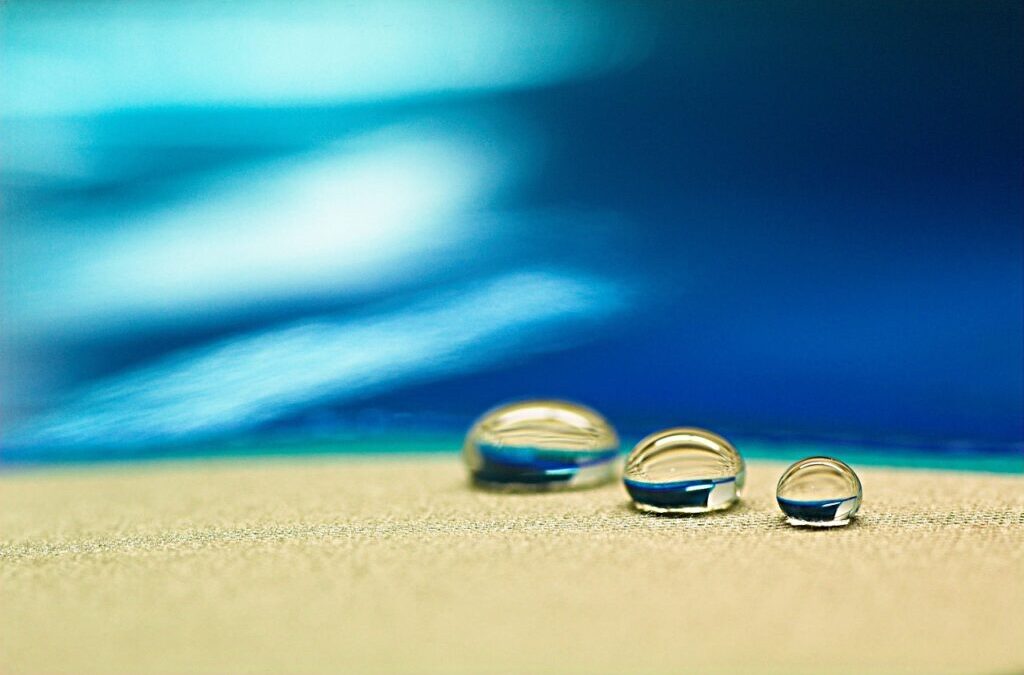 “Great Basin Community Education Programs” – The Great Basin: Where…