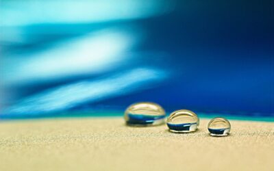 “Great Basin Community Education Programs” – The Great Basin: Where…