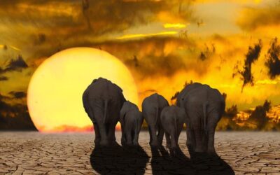 “Great Basin Water Cycle Explanation” ~ The Great Basin: A…